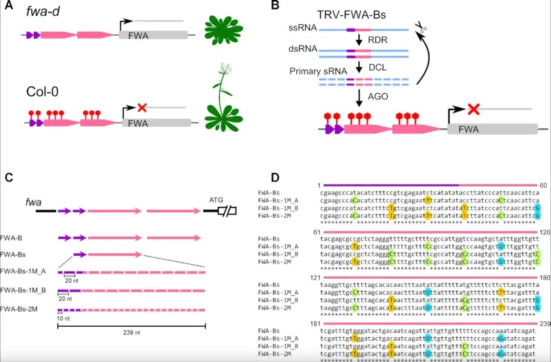 Molnar-Gene-Editing-Slide