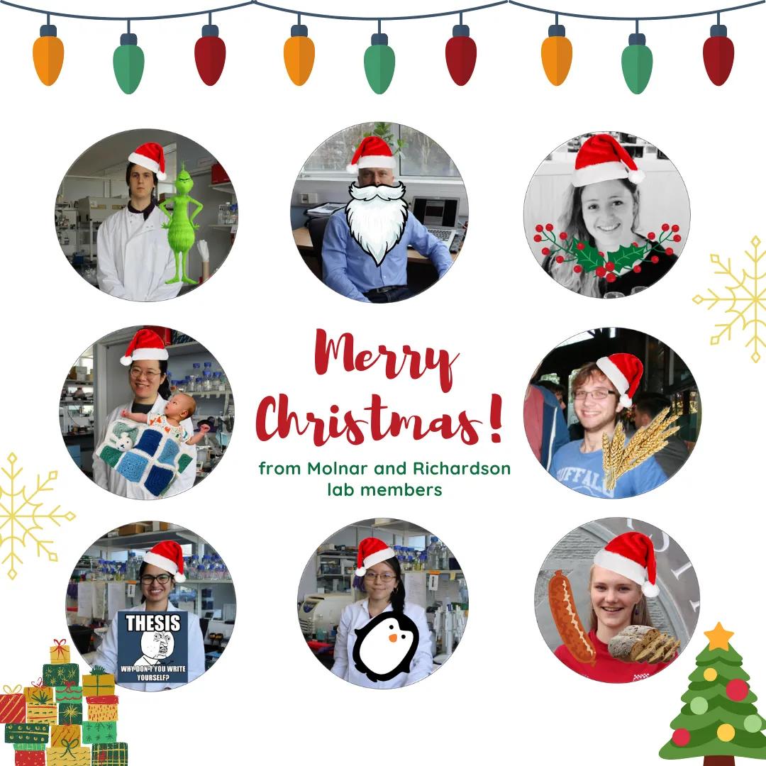 Molnar-Lab christmas