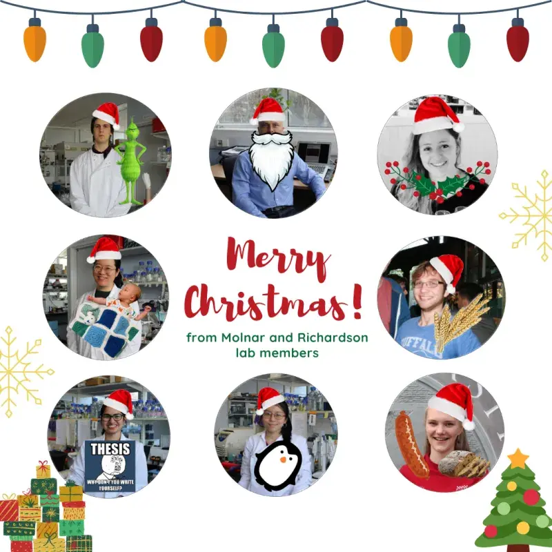 Molnar-Lab christmas