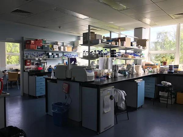 Molnar-Lab