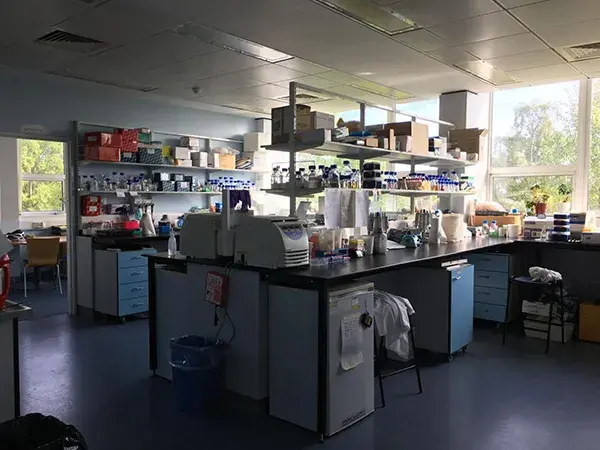 Molnar-Lab