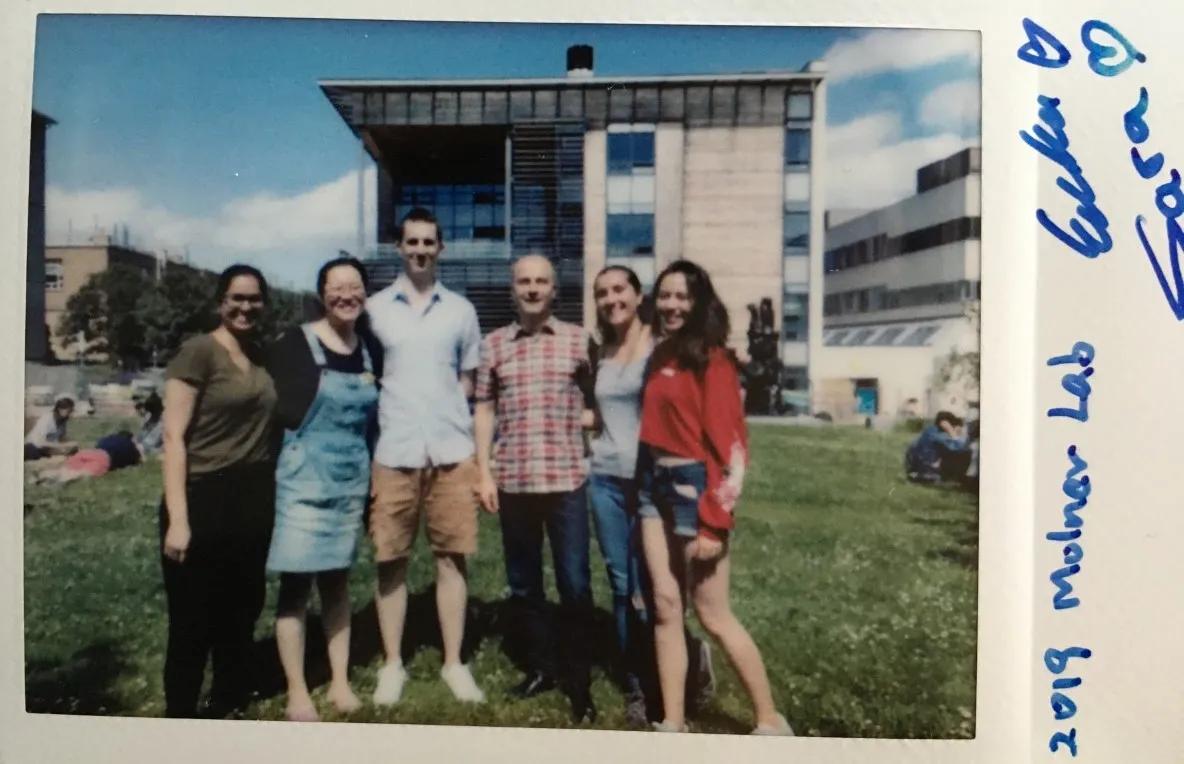 Molnar-Polaroid