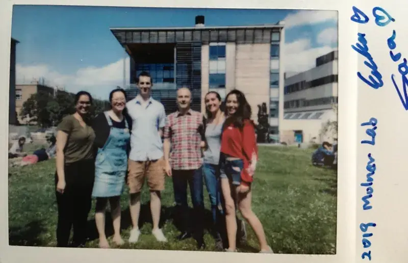 Molnar-Polaroid