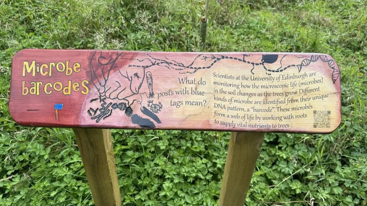 Roamers Wood sign