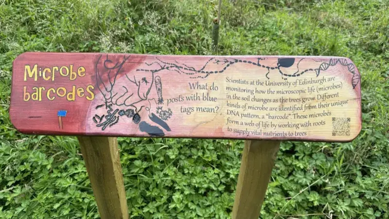 Roamers Wood sign