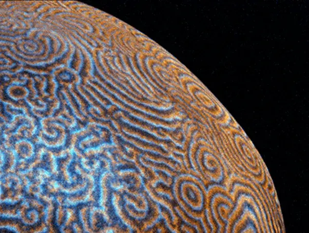 Image of Actin waves induced in rewired oocytes