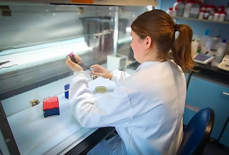 Dr Róisín Fattorini pipetting onto agar plates