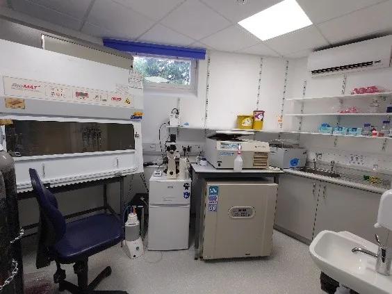 Photo of a tissue culture lab