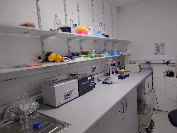 photo of a lab