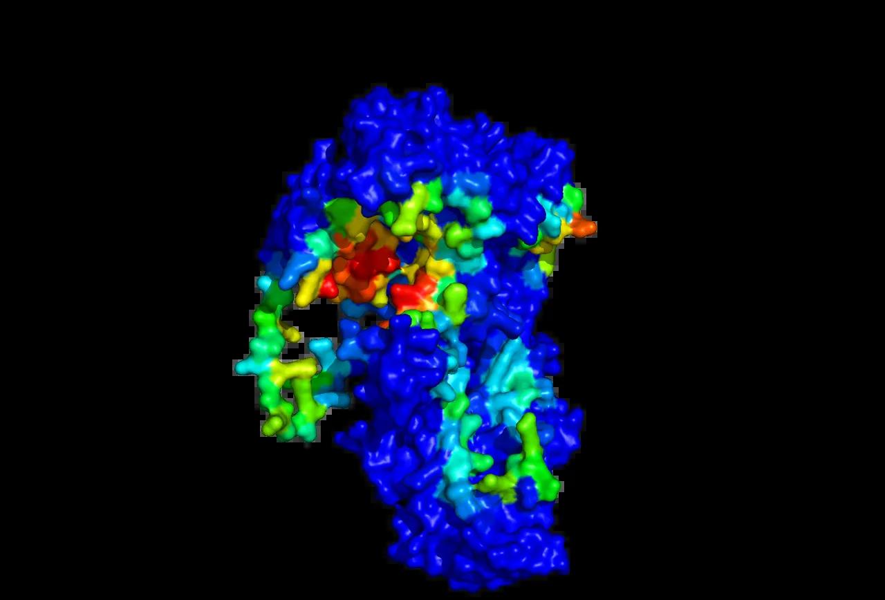 Tex 3D structure