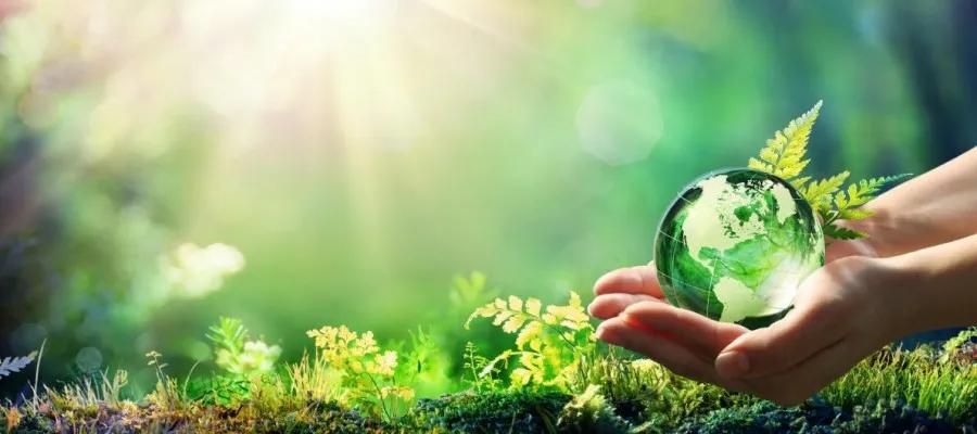 Circular Bioeconomy