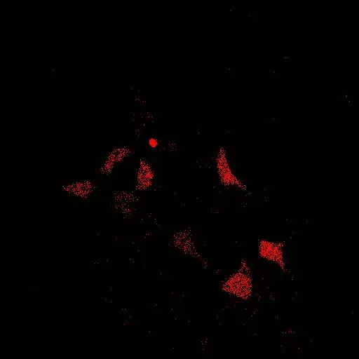 Sensitised Emission FRET