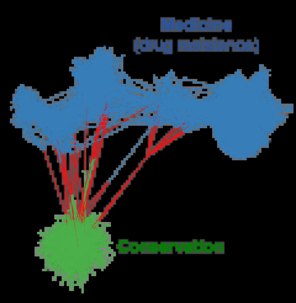 citation network for publications related to evolutionary rescue in conservation and medicine (drug resistance) applications