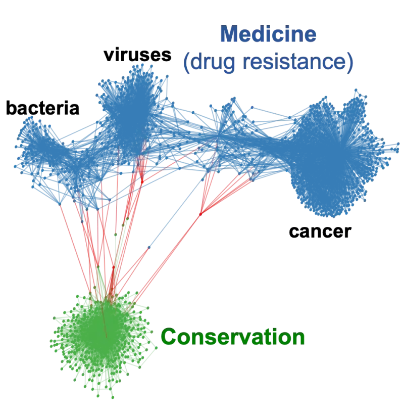 citation network for publications related to evolutionary rescue in conservation and medicine (drug resistance) applications