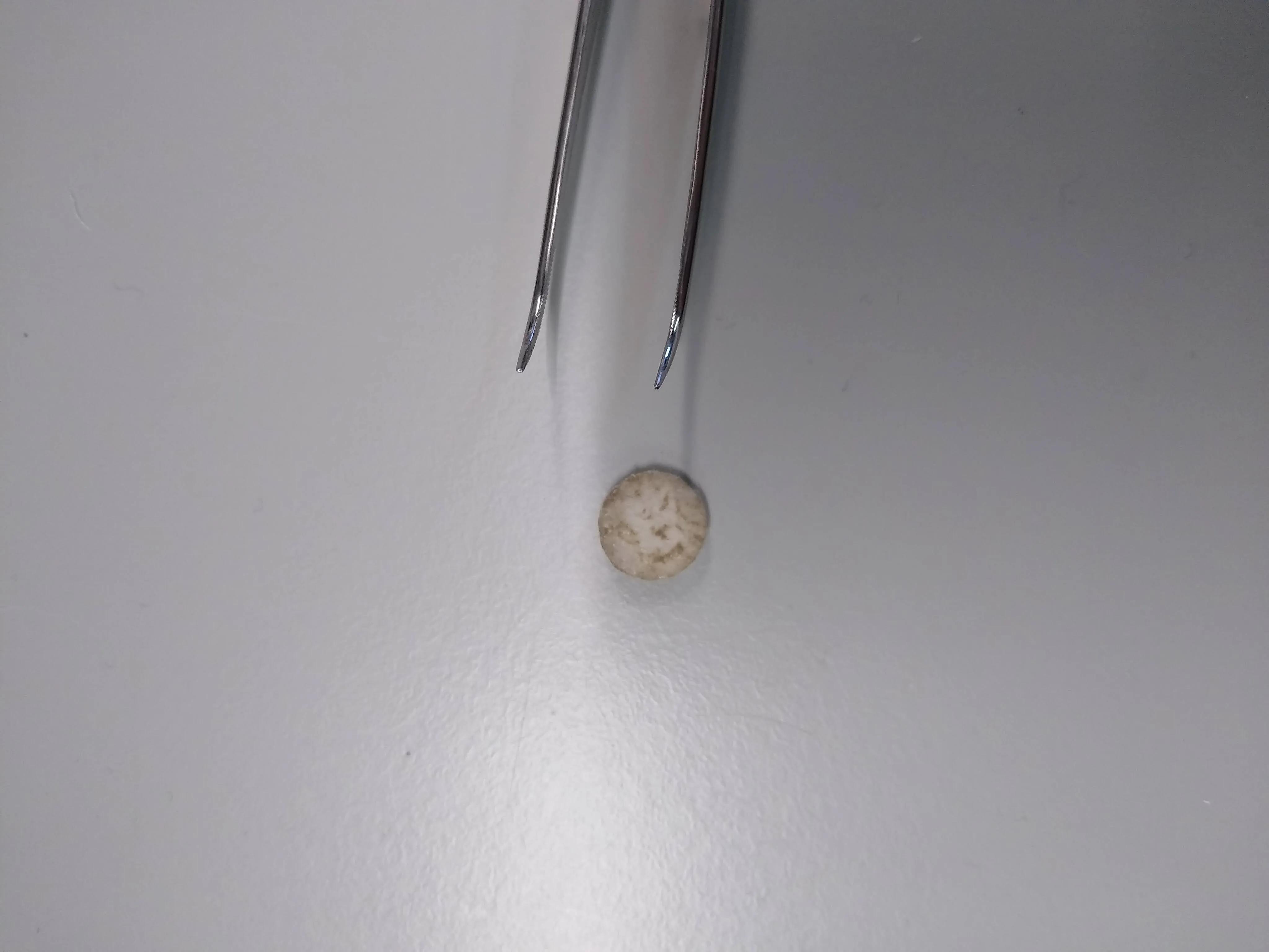 labphoto