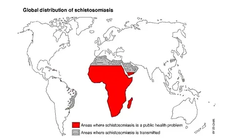 Geographical distribuation of Schistosomiasis