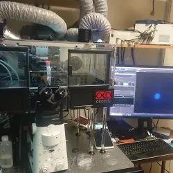 microscope and cell image