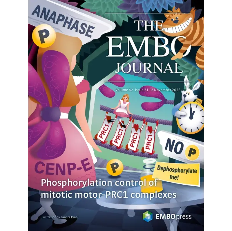 EMBO journal cover image, issue November 2023 featuring Welburn lab work