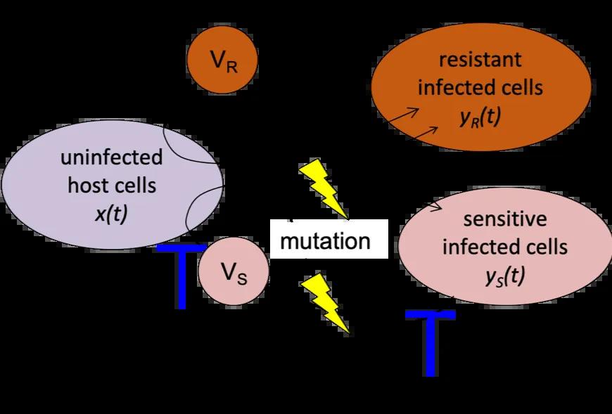 Viral dynamics model schematic showing uninfected and infected host cells and virions, with drug inhibition and mutation pathwa.