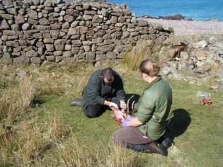 Two researchers examining a Red deer corpse.