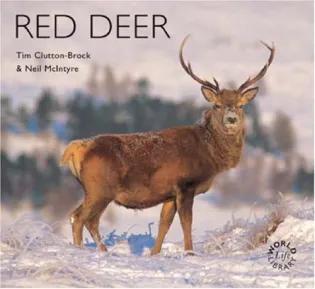 Cover of "Red Deer" - a photograph of a male red deer in a winter landscape.