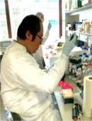 Dr Chao-Kuo Liu working in the lab.