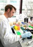 Niels Wicke working in the lab.