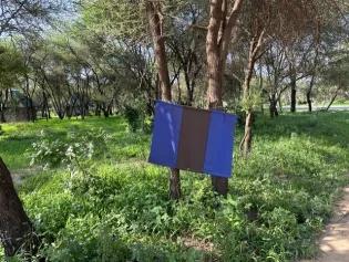 Tsetse fly trap in the Tarangire National park.