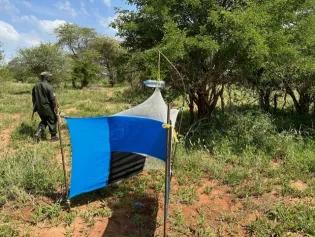 Tsetse fly trap structure: a translucent net and bottle attached to a blue sheet.