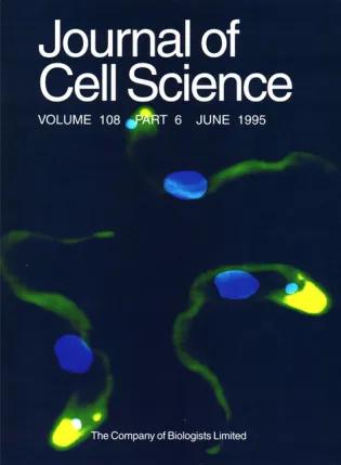 Cover of June 1995 issue of Journal of Cell Science featuring african trypanosomes.