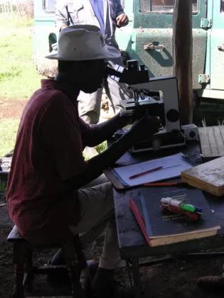 Different man looking through a microscope in a gazebo.