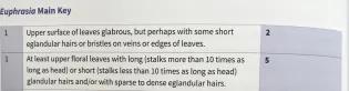 Couplet 1 from the handbook, the first couplet requires identification based on different hair types.