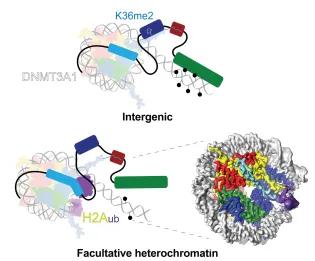 Wilson Image November 2024