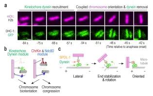 Earnshaw Image Oct 2024
