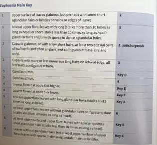 Euphrasia handbook, main key page, more details in text