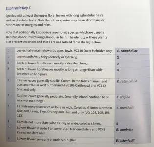 Euphrasia handbook Key C discriminates between 6 species with long eglandular hairs and no glandular hairs, more detail in text.