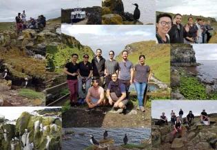 McCormick-Puffin-Photo