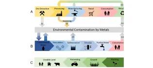 Biochemical-society-transactions