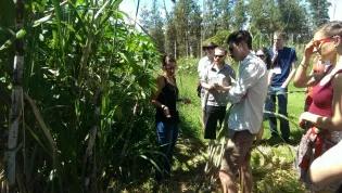 McCormick-FAPESP­-Photo