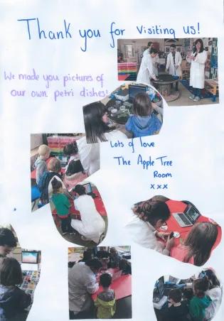 McCormick-Nursery-Photo