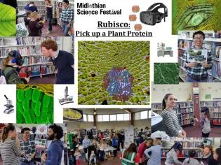 McCormick-VRRubisco-Photo