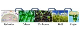 McCormick-Predictive-Plant-Cycle