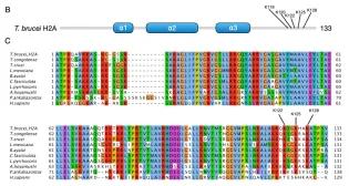 Akiyoshi Image January 2024