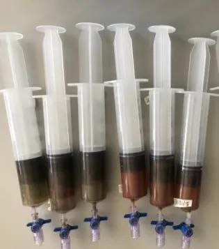 Photo of 5 partially full syriinges with dark green and brown sediment.