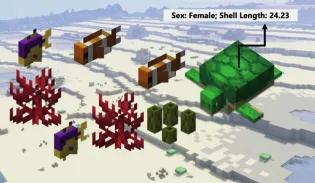 LittleLab-Minecraft-Rockpool