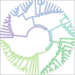 Graphic in a spiral shape with zig zags in shades of green, blue and purple.