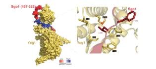 Marston Image Dec 2024