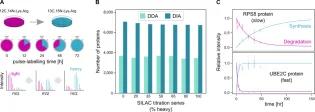 Diagram outlining the development of DIA-pulse-SILAC 