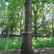 Photo of Christine Tansey in woodland, hugging a tree