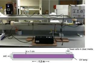 Photo of the Vari-X-linker UV cross-linker machine